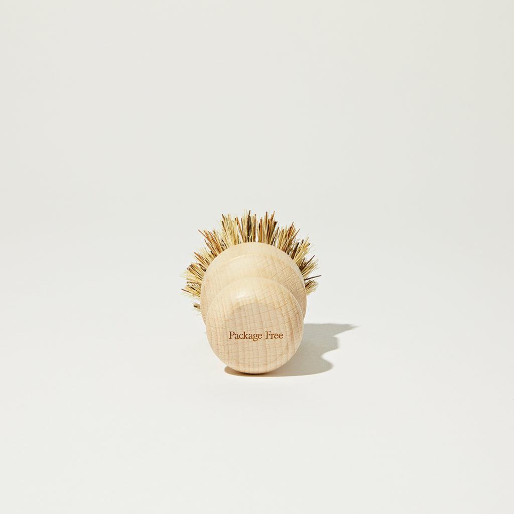 Package Free Scrub Brush