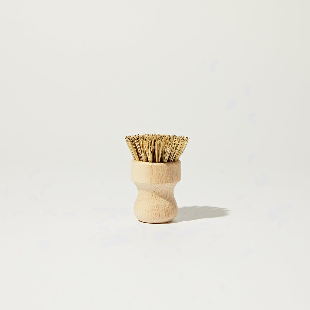 Package Free Scrub Brush