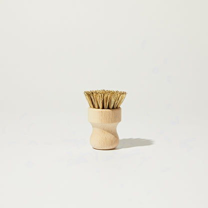 Package Free Scrub Brush