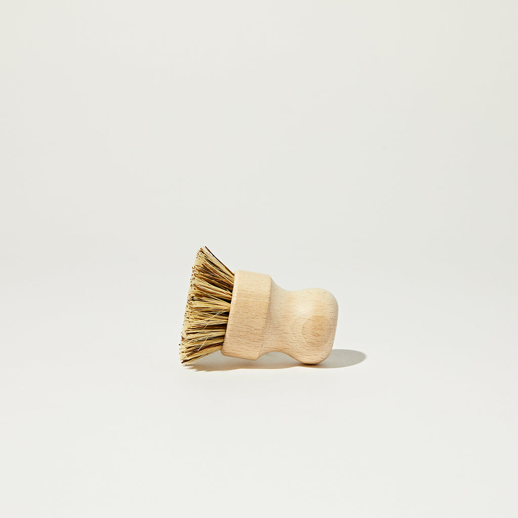 Package Free Scrub Brush