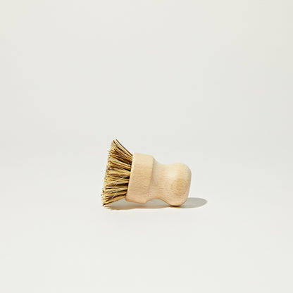 Package Free Scrub Brush