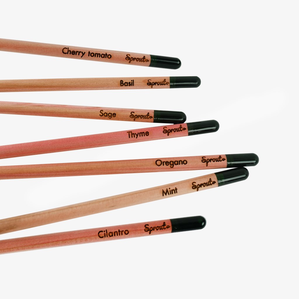 Sprout Plantable Single Pencil